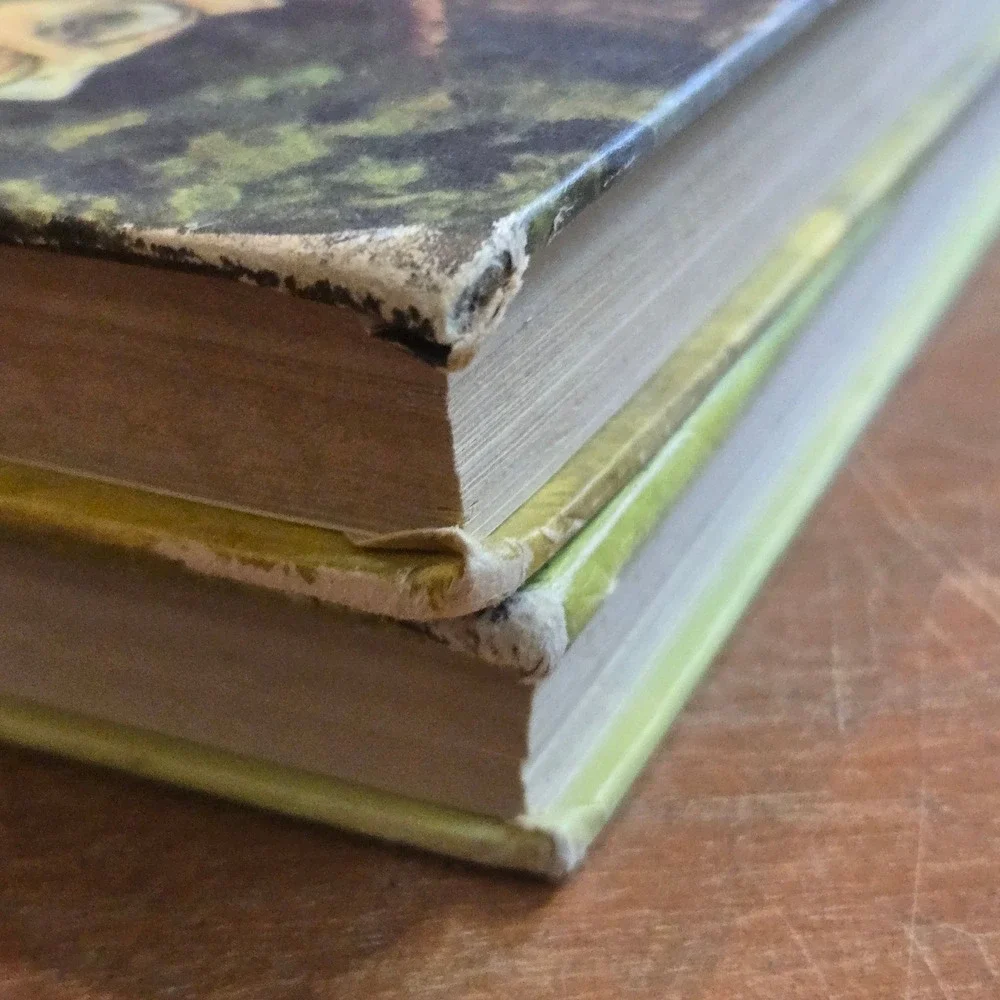 Classic Press Books Swiss Family Robinson Robin Hood Set 2
Vtg Hardcover Books - Picture 6 of 16